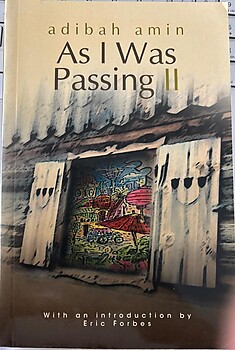 As I Was Passing II - Abidah Amin